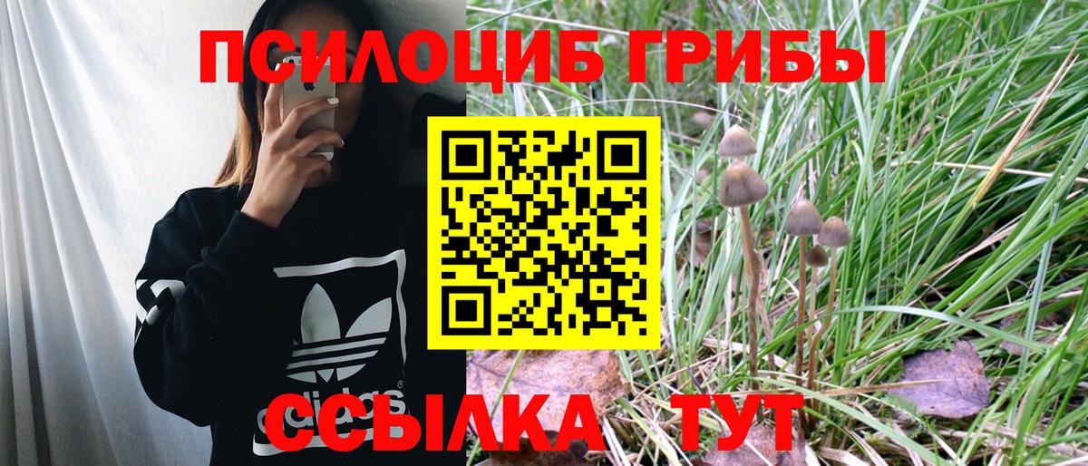 Ишимбай  Галлюциногенные грибы Magic Shrooms  Вход с VPN 