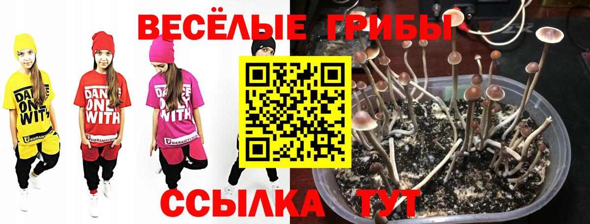 Псилоцибиновые грибы прущие грибы Ишимбай